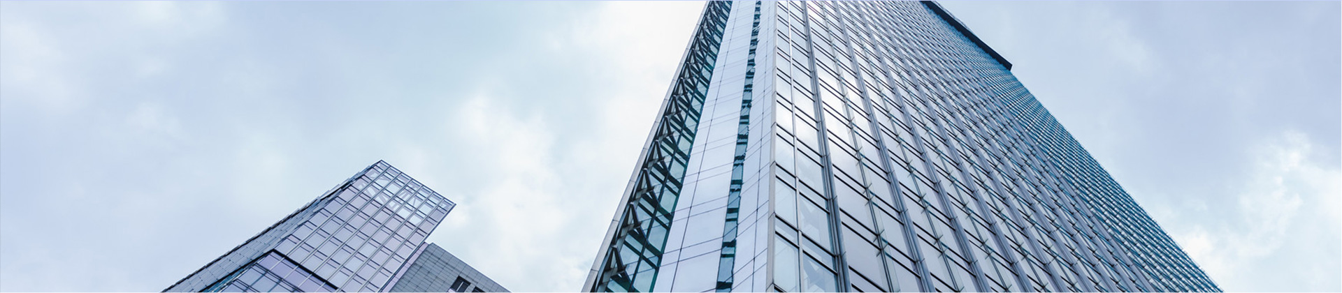 关于半岛bandao.com